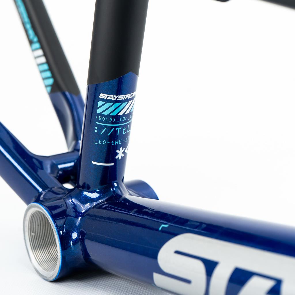 Stay Strong For Life V5 Expert XL Frame 2025